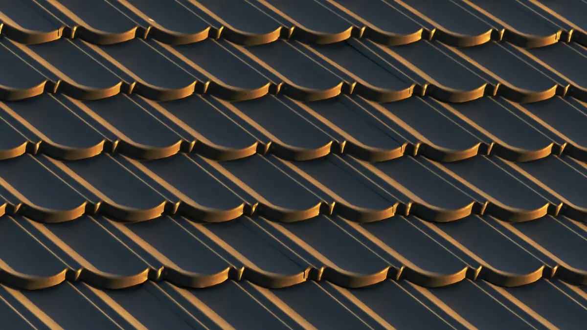 Close-up of dark asphalt roof shingles
